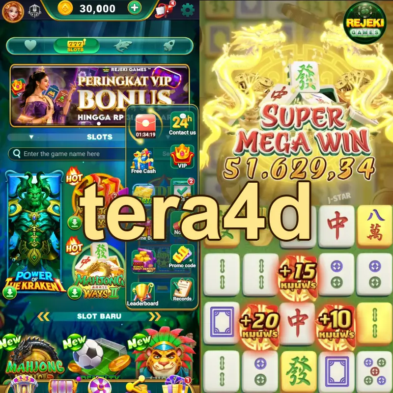 tera4d APK